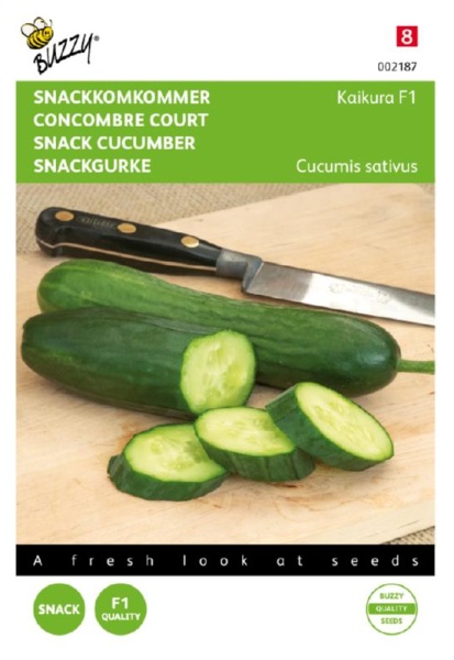 Snack uhorka Kaikura F1  cca 8 semien