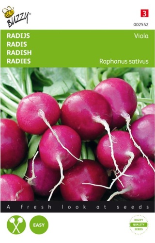 Reďkovka fialová Viola cca. 2,5g semien