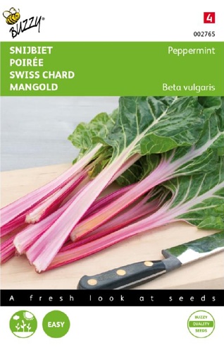 Mangold Peppermint cca 100 semien