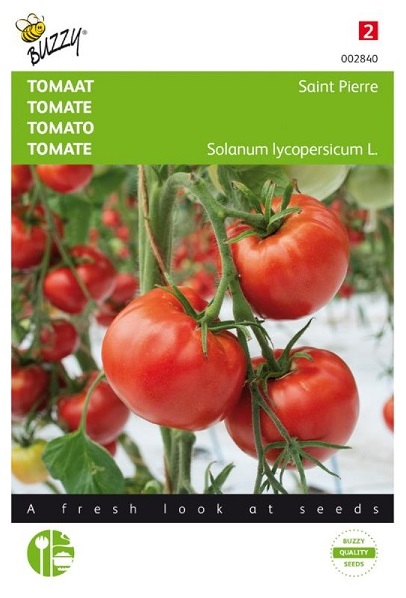 Rajčiak indeterminantný Saint Pierre cca. 1,5 g