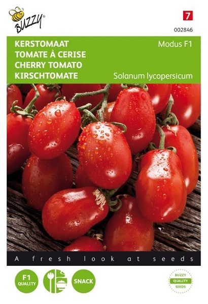 Rajčiak indeterminantný mini slivkový Modus F1 cca 10 semien