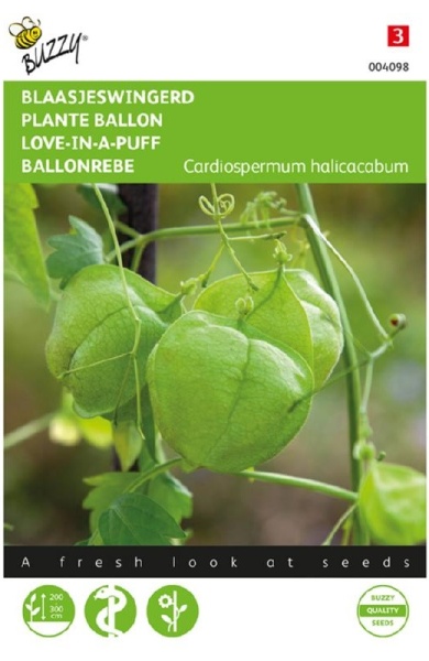 Cardiospermum halicacabum, Mudakathan, Yogis herb,  balónovec, Love-in-a-puff cca 2 g 