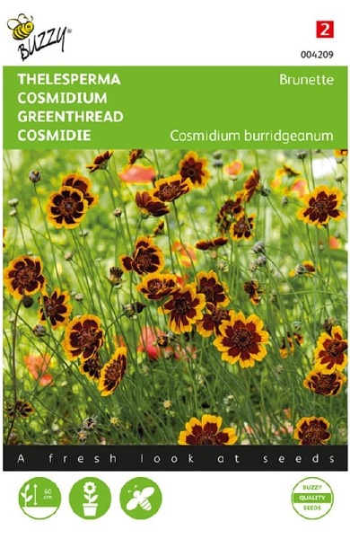 Cosmidium burridgeanum Thelesperma Brunette cca 0,5 g