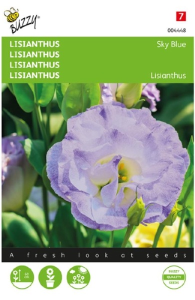 Lisianthus Sky Blue cca 20 semien