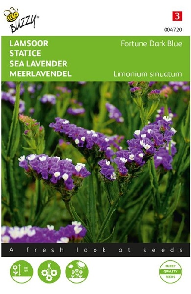 Limonium sinuatum Lavender Fortune Dark Blue cca 0,2 g