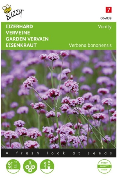 Verbena bonariensis Železník argentínsky Vanity cca 25 semien