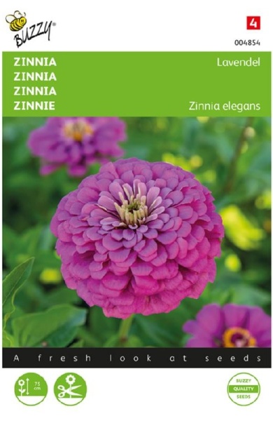 Zinnia elegans Lavendel cca 25 semien