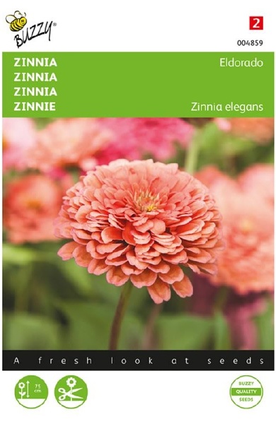 Zinnia elegans, Eldorado cca 1 g