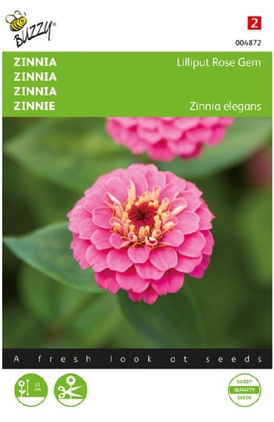 Zinnia elegans Lilliput Rose gem cca 1 g