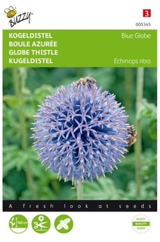 Ježibaba belasá Echinops ritro Blue Globe cca 0,5 g