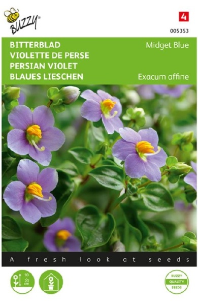 Exacum affine, perzská fialka Persian Violet Midget Blue cca 10 semien