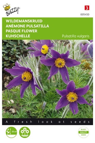 Poniklec obyčajný, Pulsatilla vulgaris 0,1 g