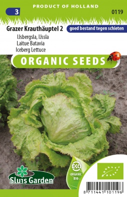 Šalát ľadový, Grazer Krauthäuptel 2 BIO, Lactuca Sativa cca. 0,4 g