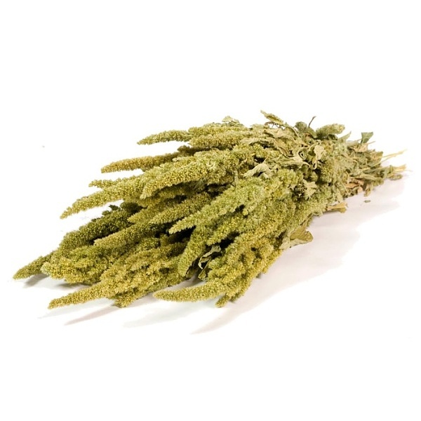Sušené kvety Amaranthus natural green zväzok