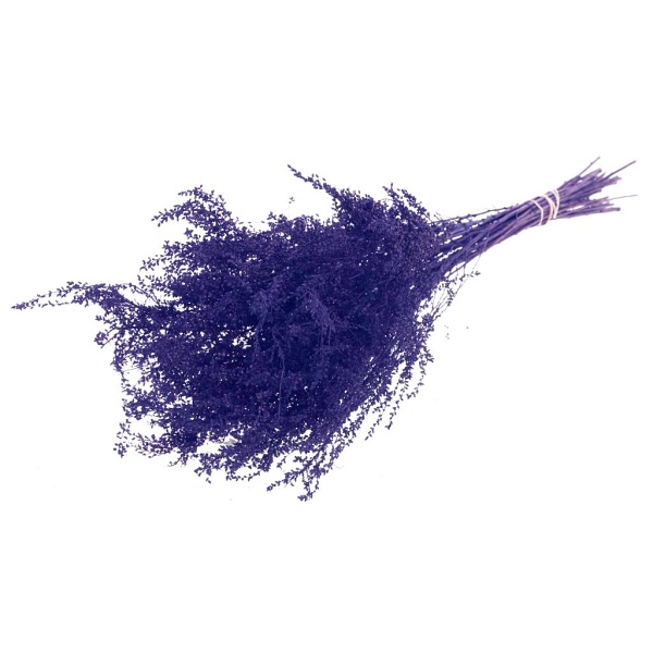 018860030.jpg