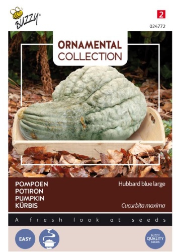 Tekvica jedlá aj ozdobná Hubbard Large Blue cca 3 g.