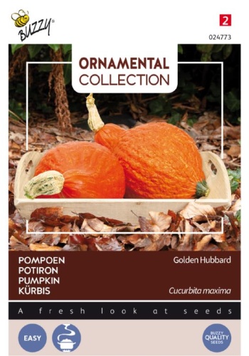 Tekvica jedlá aj ozdobná Golden Hubbard cca 2,5 g.