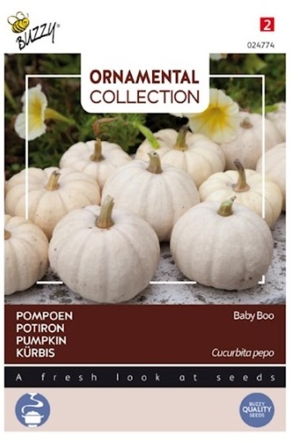 Tekvice jedlé aj ozdobné Baby Boo cca 1 g.