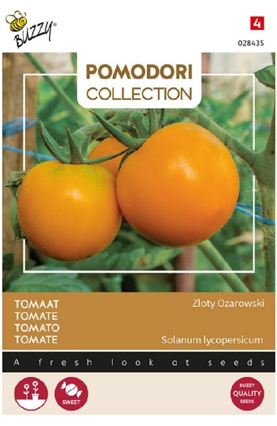 Rajčiak oranžový Zloty Ozarowski cca 1,5 g 