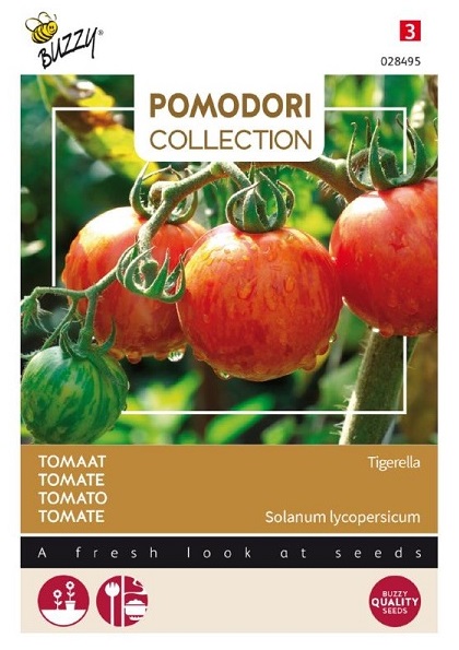 Rajčiak indeterminantný Tigerella cca. 1,5 g semien