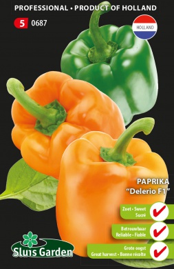 Paprika sladká Delerio F1, Capsicum annuum cca. 10 semien
