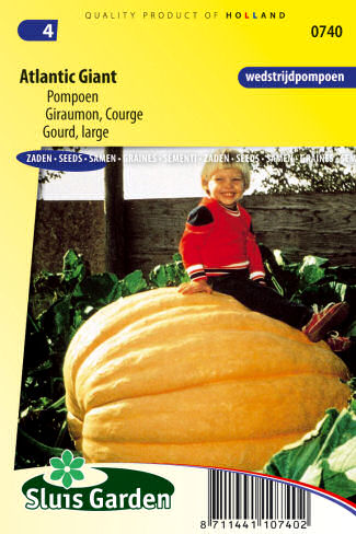 tekvica semena zeleniny kvetov bylinky sadit pestovat rajcin paprika uhoriek bazalka