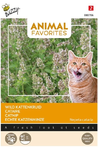 Animal Favorities Kocúrnik pre Mačky Nepeta cataria  cca. 0,5 g