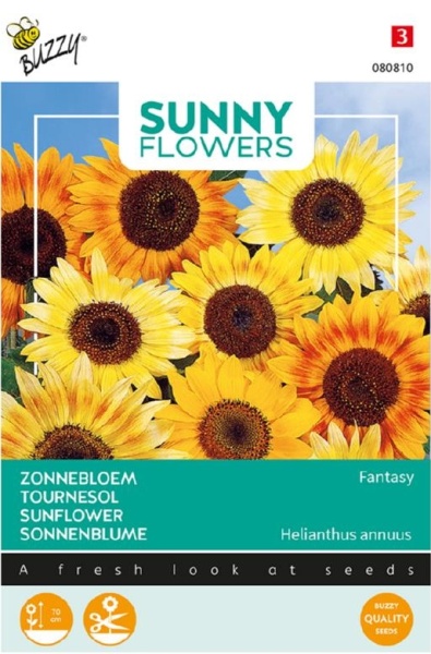 Helianthus annuus, Slnecnica Fantasy 1g