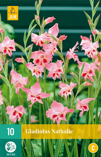 GLADIOLY NATHALIE - 10 ks 