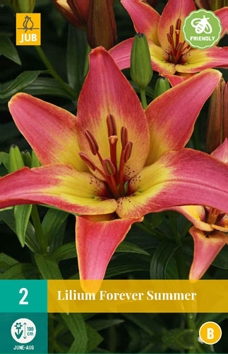 Lalia FOREVER SUMMER pocet kusov: 2