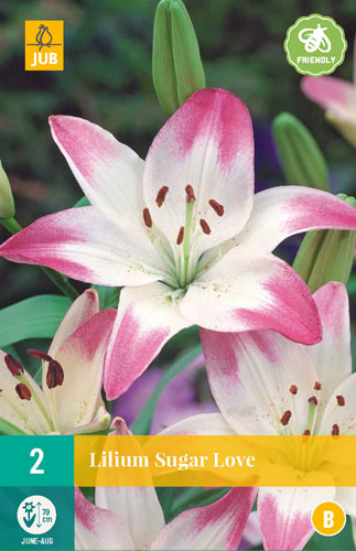 ĽALIA SUGAR LOVE - 2 ks