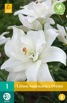 ĽALIA ANNEMARIES DREAM (voňavá) - 1 ks