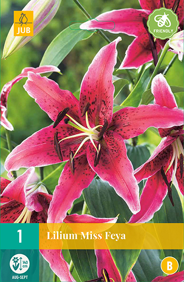 ĽALIA MISS FEYA 1 kus