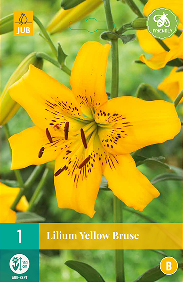 ĽALIA YELLOW BRUSE 1 kus