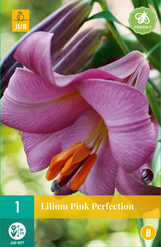 ĽALIA PINK PERFECTION - 1 ks