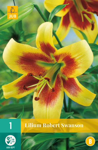 Ľalia ROBERT SWANSON počet kusov: 1