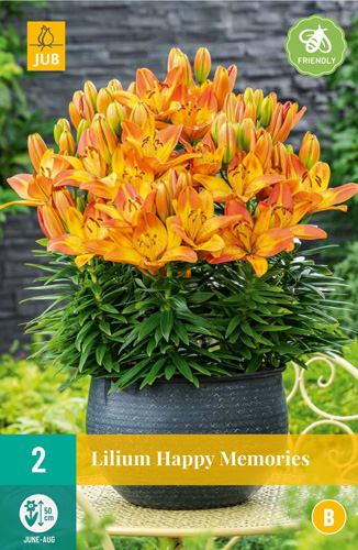 ĽALIA  DO KVETINÁČA HAPPY MEMORIES - 2 ks