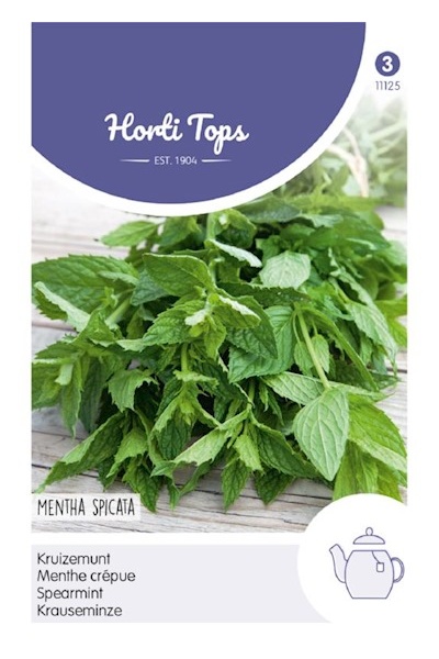 Mäta klasnatá, Spearmint Mentha spicata cca 0,1 g