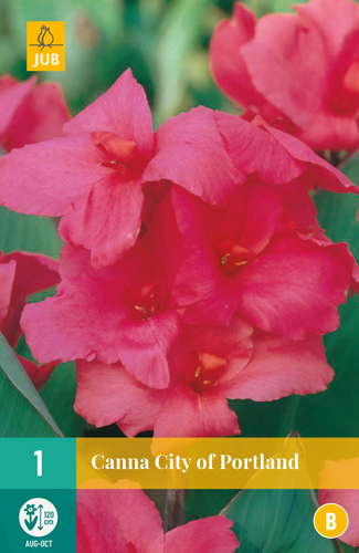 CANNA CITY OF PORTLAND - 1 ks