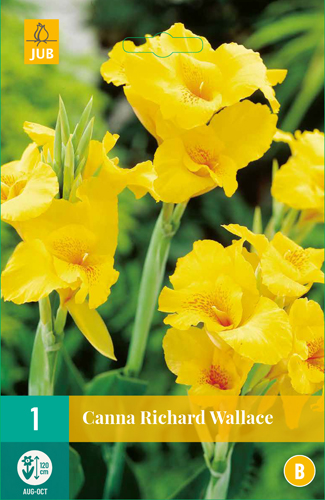 CANNA RICHARD WALLACE - 1 ks