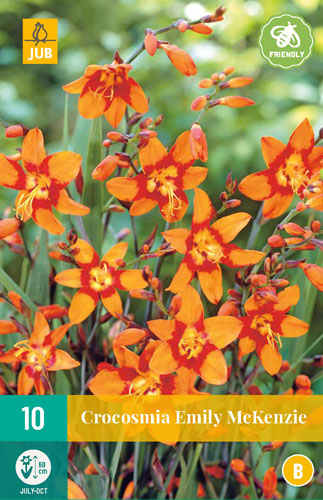 CROCOSMIA EMILY MCKENZIE - 10 ks