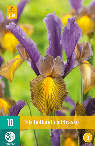 Irisy PICASSO 10 kusov