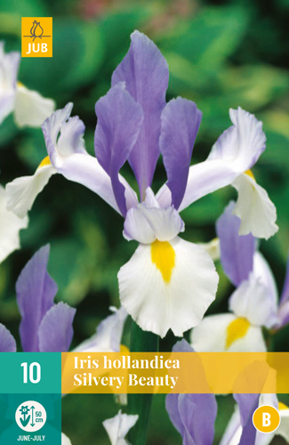 IRIS HOLLANDICA SILVERY BEAUTY pocet kusov: 10