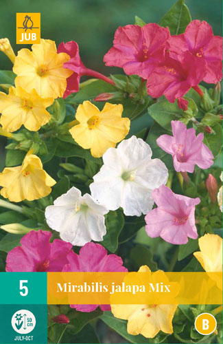 MIRABILIS JALAPA MIX - 5 ks Novinka