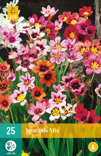 SPARAXIS MIX - 25 ks