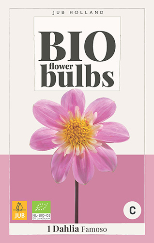 BIO DÁLIA IMPRESSION FAMOSO 1 kus