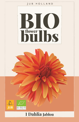 DÁLIA (GEORGÍNA) JABLOU BIO - 1 ks