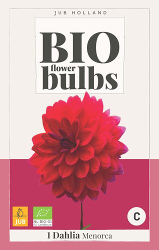 BIO DÁLIA MENORCA počet kusov: 1