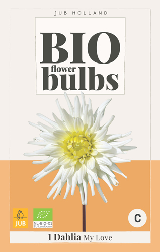 BIO DÁLIA (GEORGÍNA) MY LOVE - 1 ks