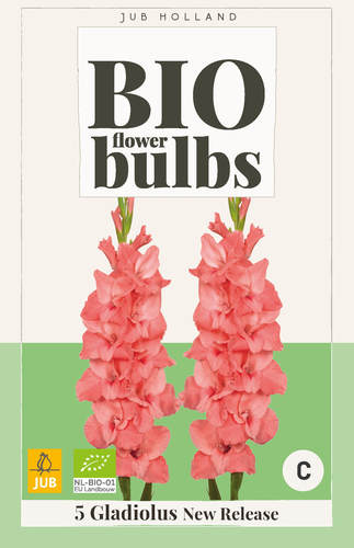 Gladiola New Relase BIO počet kusov: 5